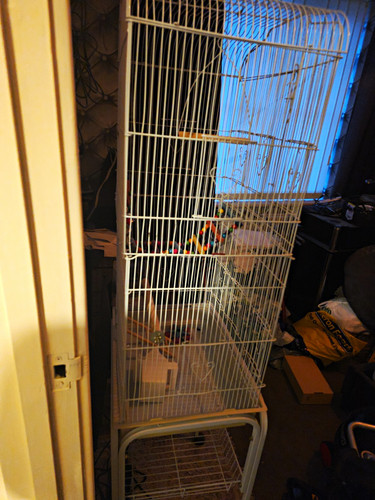 Cages - 3,