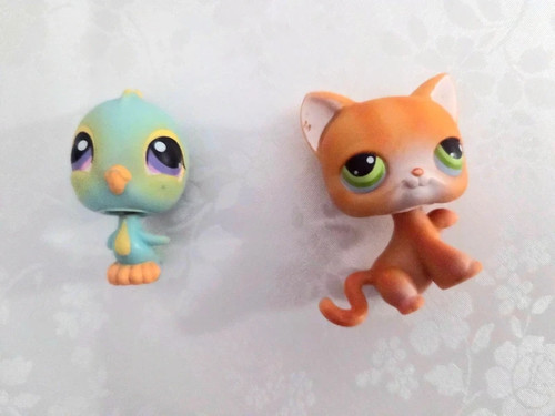 Littlest pet shop - , cat