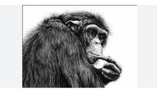 Gary Hodges "Contemplation"