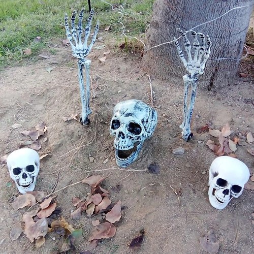 Realistic halloween skull - realistic,
