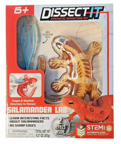 Dissect synthetic - it,