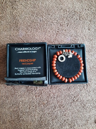 Charmology friendship bracelet - friendship,