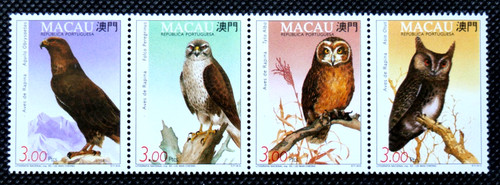 Birds prey eagle - ~,
