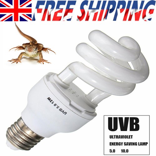 Pet screw bulb plant reptile - pet,