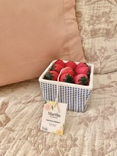 Martha Stewart Farm Fresh