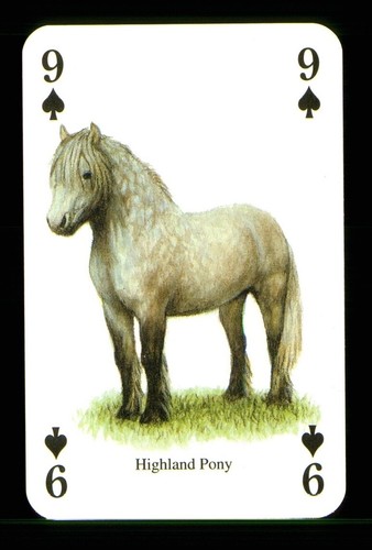 Playing card highland - playing, card: