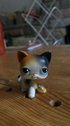 Littlest pet shop - littlest,