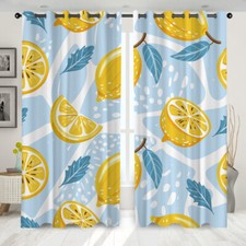 Fresh Fruit Oranges Lemons