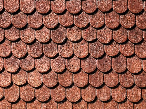 Noch 67700 beavertail roof - noch,