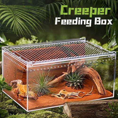 Acrylic reptiles terrarium - reptiles,