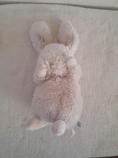 Bunnies the bay rabbit - bunnies,