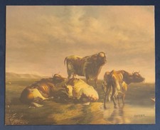 Very Nice Oil Painting After