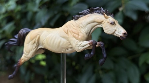 Custom resin model horse - , 3d