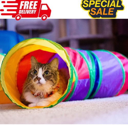 Cat tunnel pet - cat,