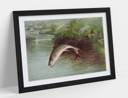 Leaping brook trout samuel - trout, by