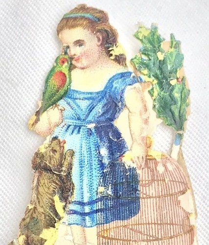 1880 fancy girl bird cage - 1880's,