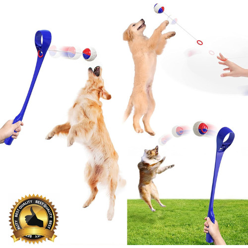 Large 50cm dog ball - ball, launcher