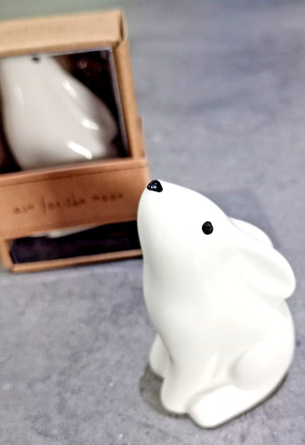 Star gazing hare ornament - gazing,