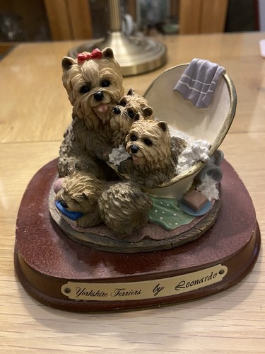 Clear yorkshire terrier - clear,