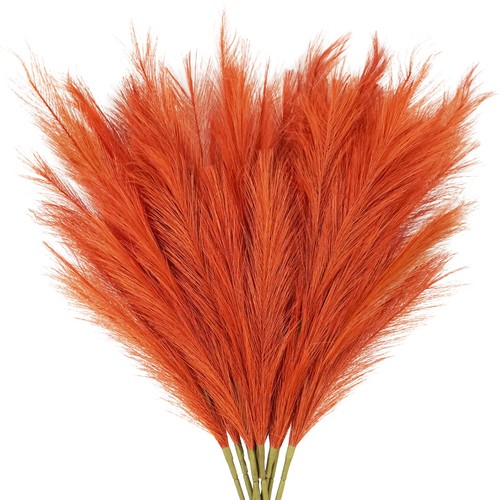 8pcs orange pampas - orange, grass