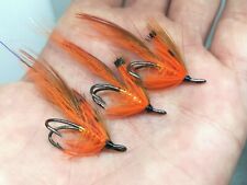 3 Light General Practitioner