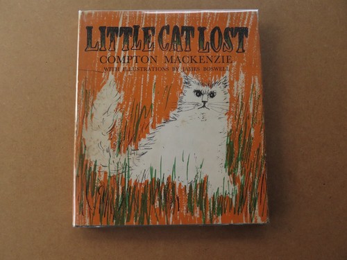 Little cat lost compton - lost,