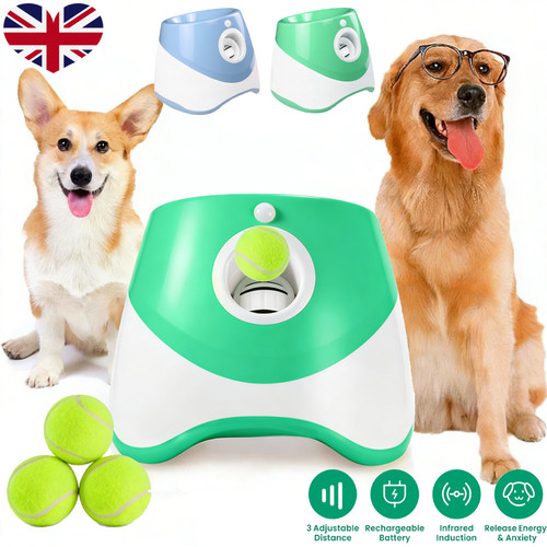 Dog ball throwing machine - dog,