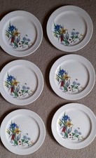 6 Grindley Cream Floral 7 Inch