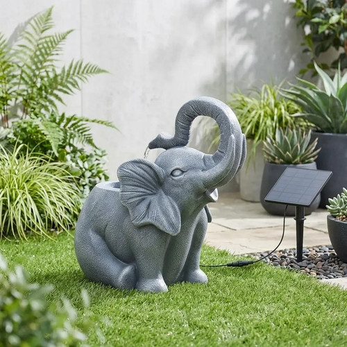 Jumbo showers elephant - jumbo,