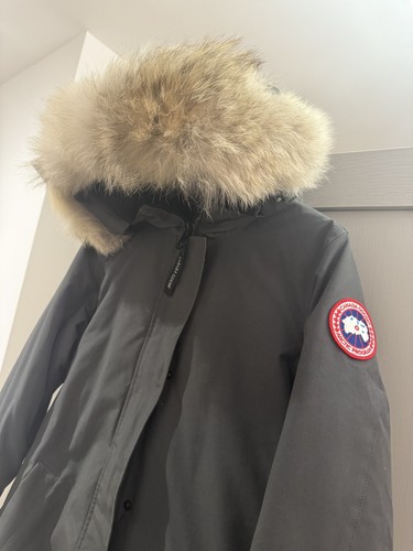Canada goose victoria - goose,