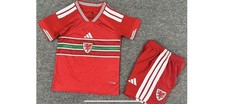 Very easy wales kits kids home