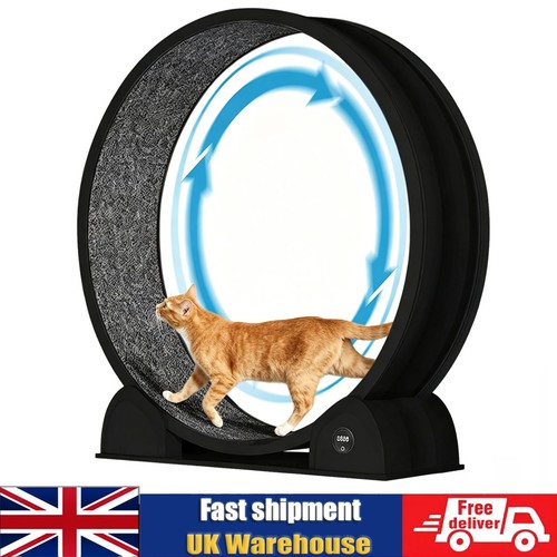 Cat exercise wheel - 45",