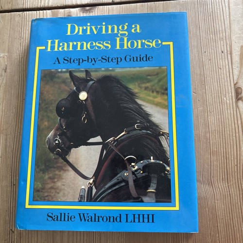 Driving harness horse a - driving,