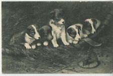 Five Terrier Pups & a Caged Rat! Vintage Dog Postcard E2