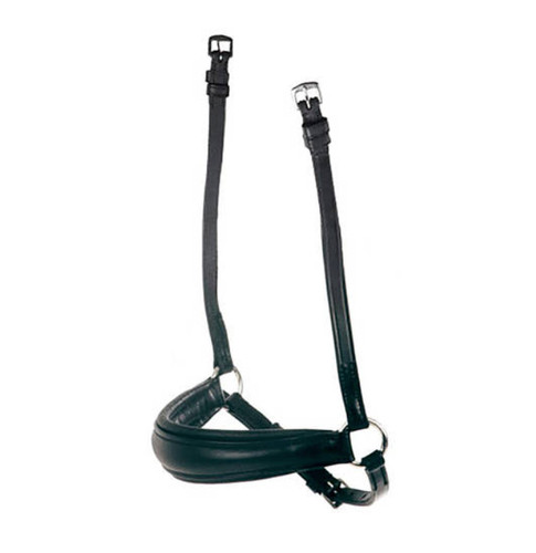 Collegiate equestrian mono - collegiate,