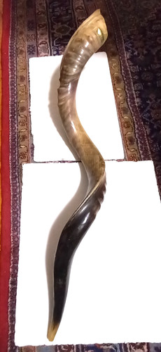 Jewish yemenite kudu horn - jewish,