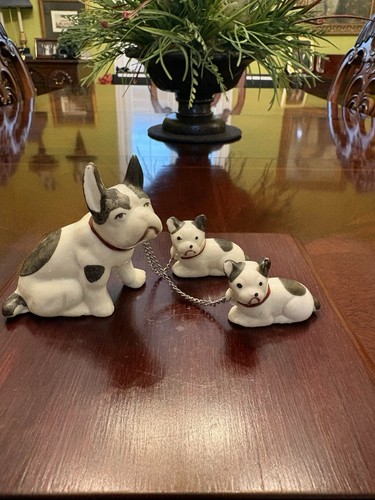 Vintage small boston terrier - vintage,