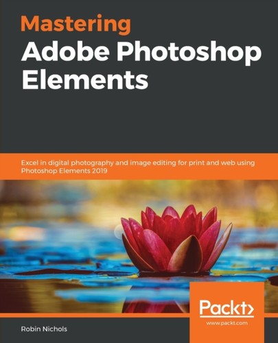 Nichols mastering adobe - nichols,
