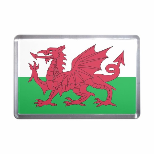 Wales flag plastic - flag, fridge