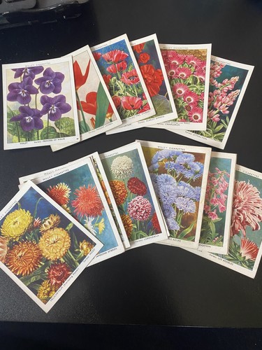 Wills large cigarette cards - wills,