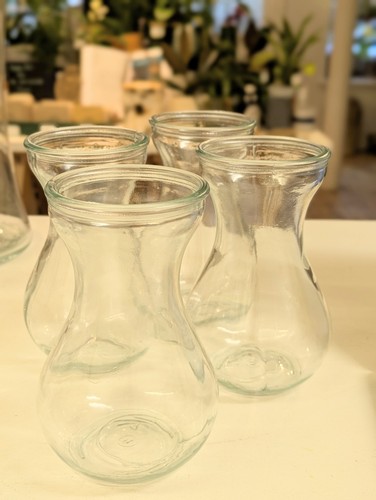 Glass bulb jar vase watch - bulb,