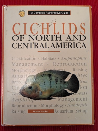 Cichlids north and central - cichlids,