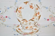 Antique c1890 Wileman Foley Nouveau Poppies Tea Set Shelley China Trio Cup Plate