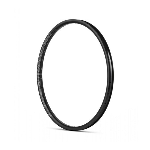 Dirt rim shield - 24, disc