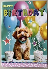 YORKSHIRE TERRIER CUTE DOG