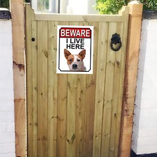 Beware I Live Here Australian