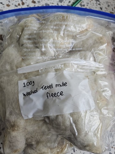 100g washed texel - mule, sheep