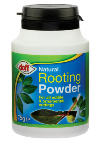 Doff natural hormone rooting - doff,