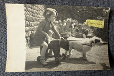 OLD PHOTO GIRL DOLL DOG HUMOUR TOY TEDDY BEAR ON WHEELS SOCIAL HISTORY PS 272