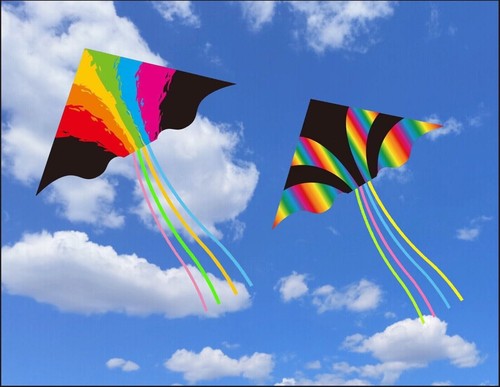 Single line rainbow kite with - single,